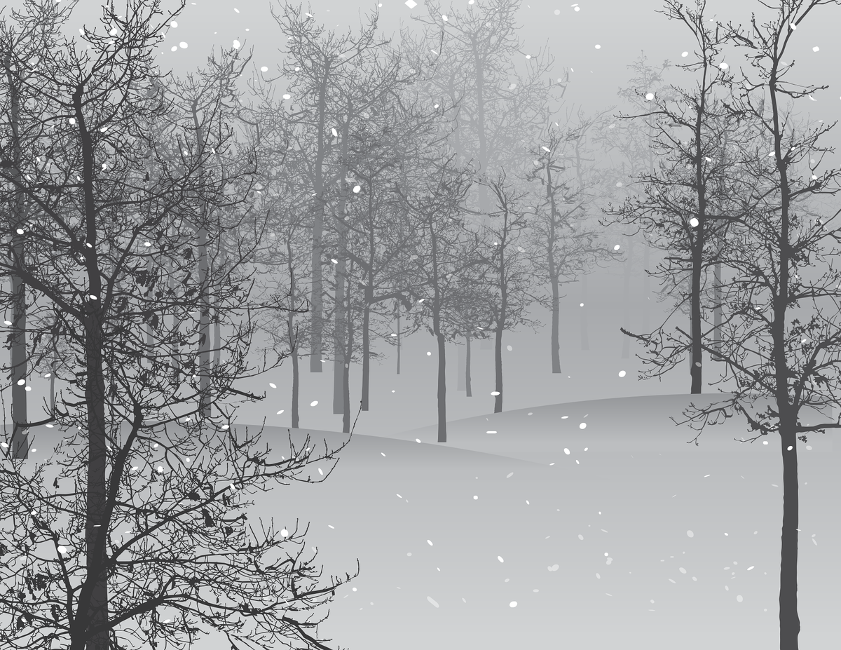 Изображение M. с сайта Pixabay