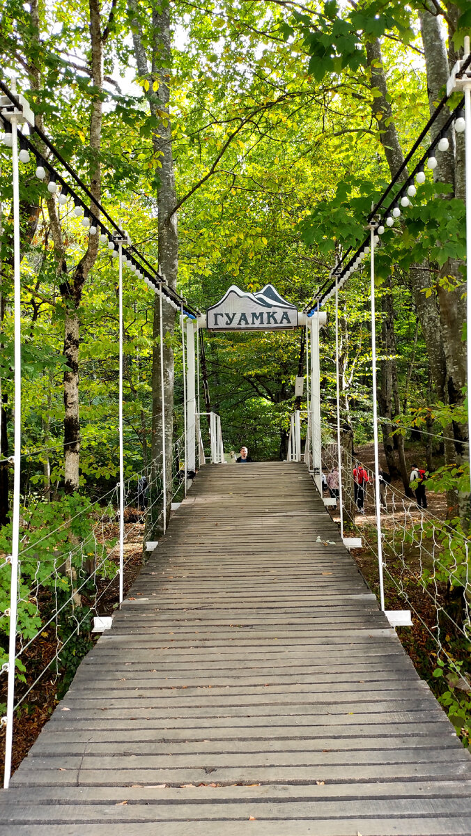 Шатающийся мост