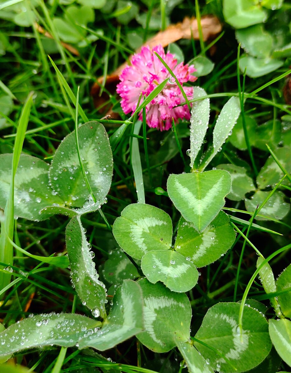 И такую красоту мы встречали практически на каждом шагу