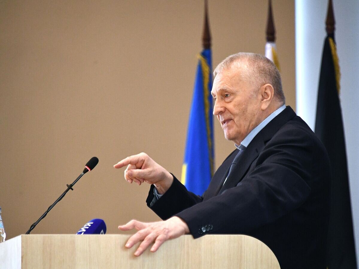    Председатель ЛДПР Владимир Жириновский© РИА Новости / Максим Блинов