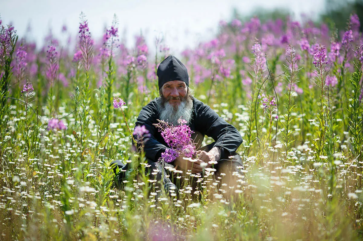 фото взято из открытых источников интернета