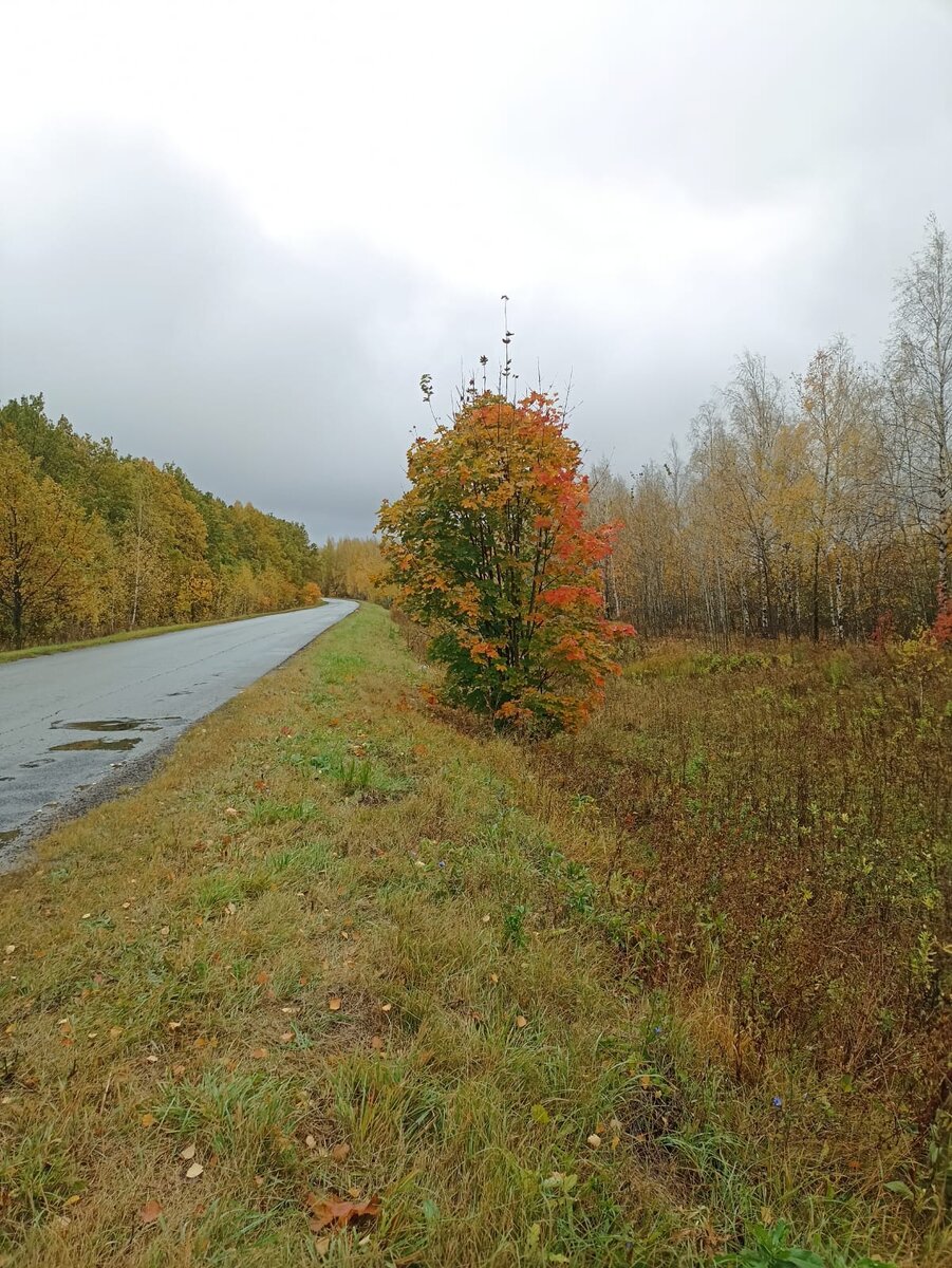 Даже в такую погоду очень красиво!