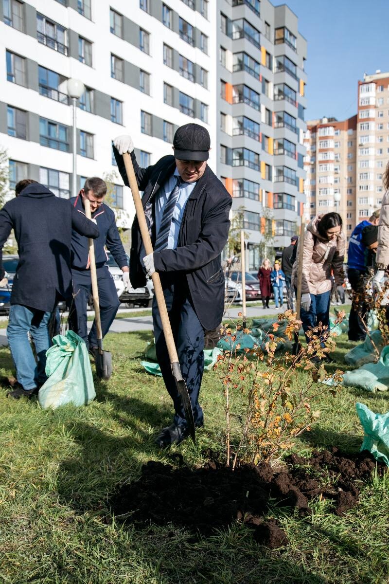 Кустов новости