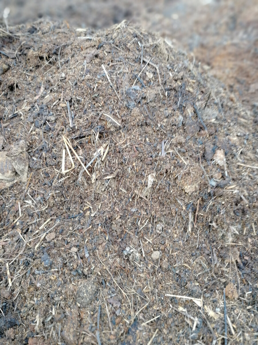 Фото автора канала.