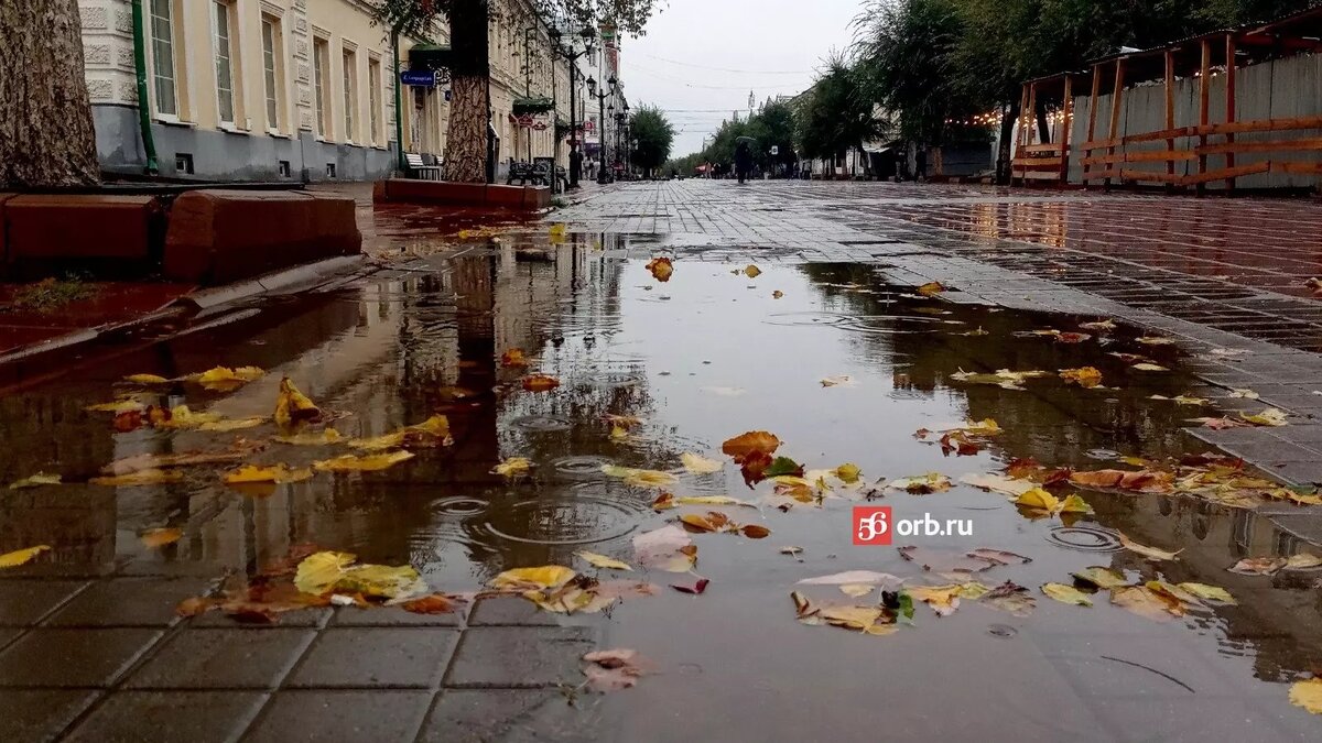 Серость «Мертвого города» и золотые деревья центра: Оренбург преобразился  после дождя | 56orb.ru | Дзен