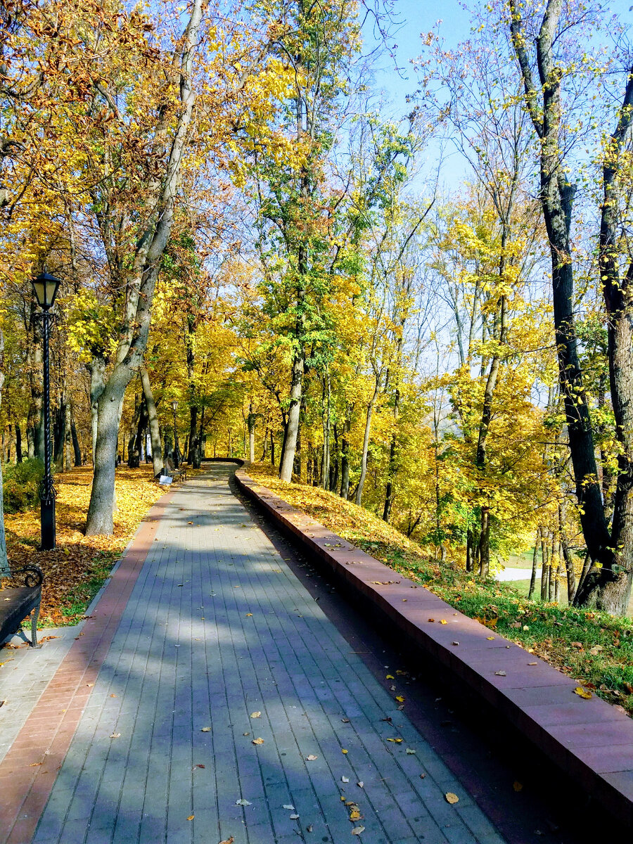 Фото автора. В гомельском парке в октябре.