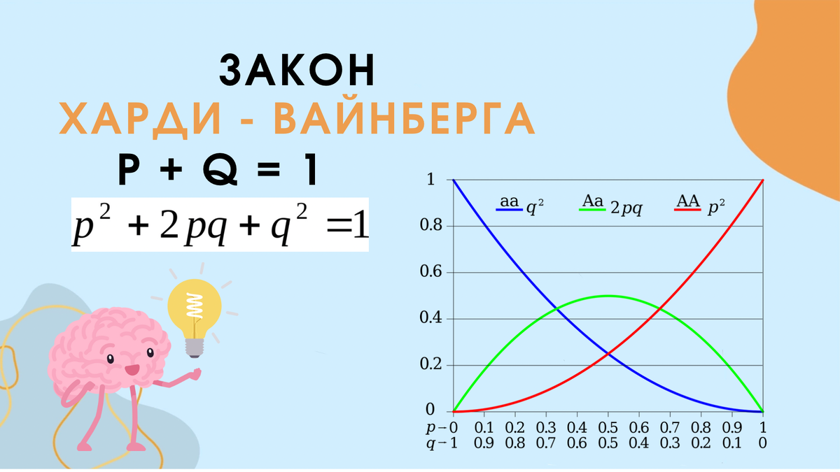 Закон Харди-Вайнберга 