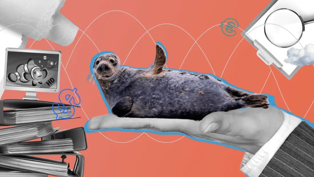 «Миссия выполнима!» или как заставить работать подчиненных