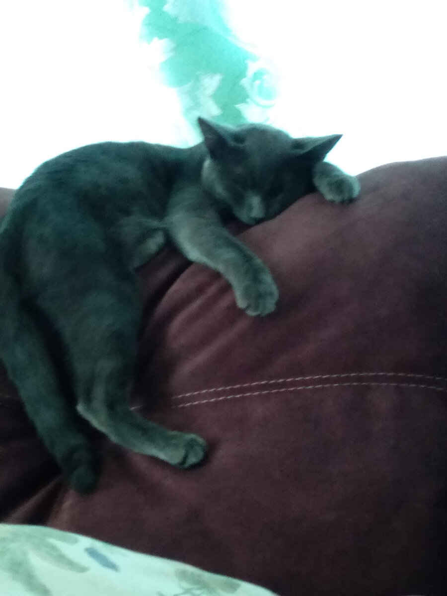 спустя пару месяцев