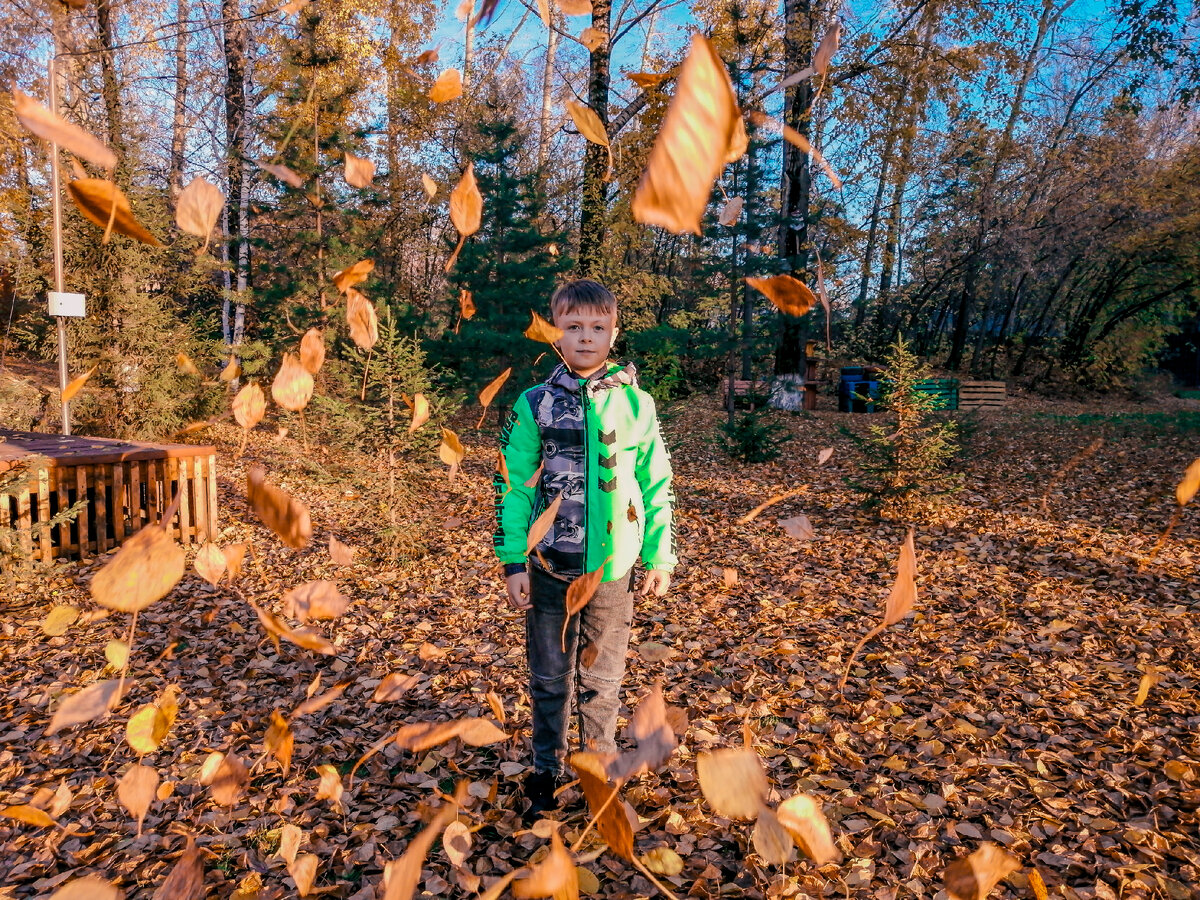 Матвей в вальсе желтых листьев