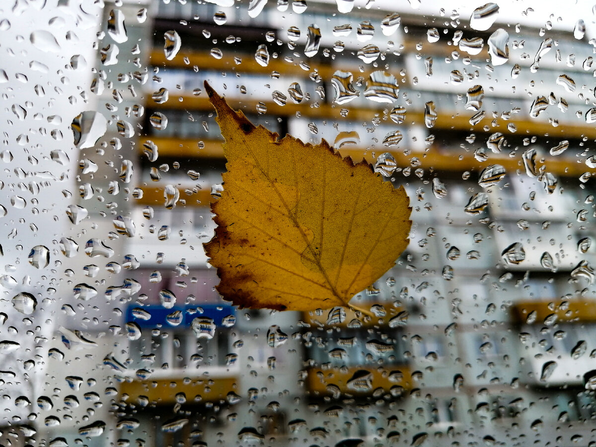 "И у самой двери рая он поймет, что умирает, после бала, после бала, после бала". Всегда плачу под эту песню Димы Маликова