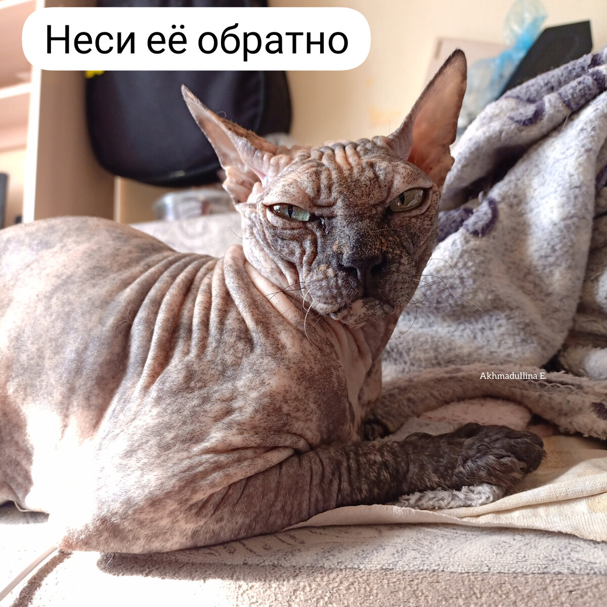 Кажется, мне угрожают. 