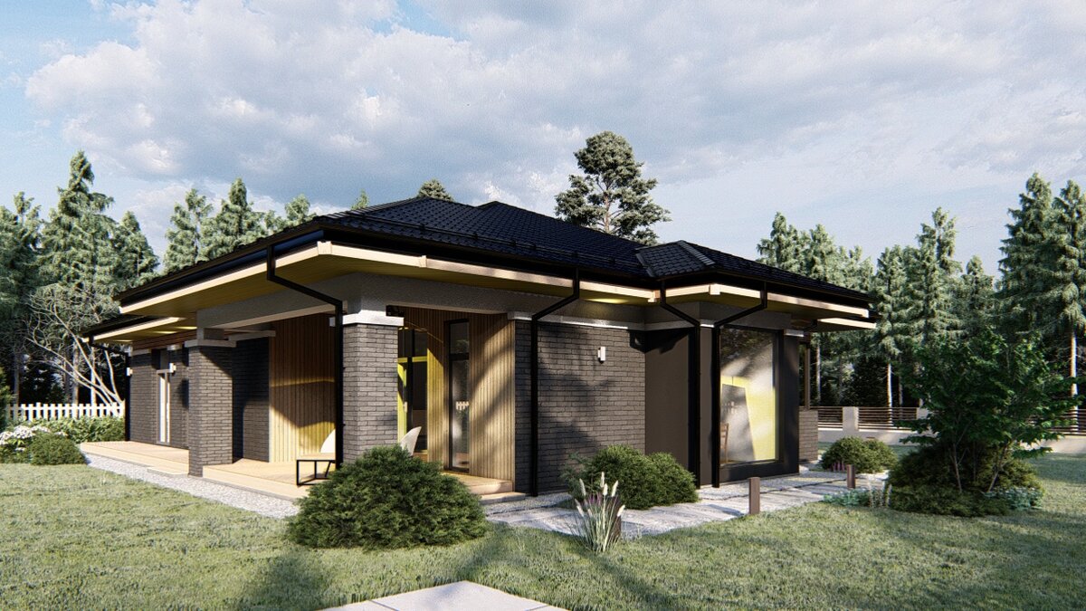 Перспектива вид 2