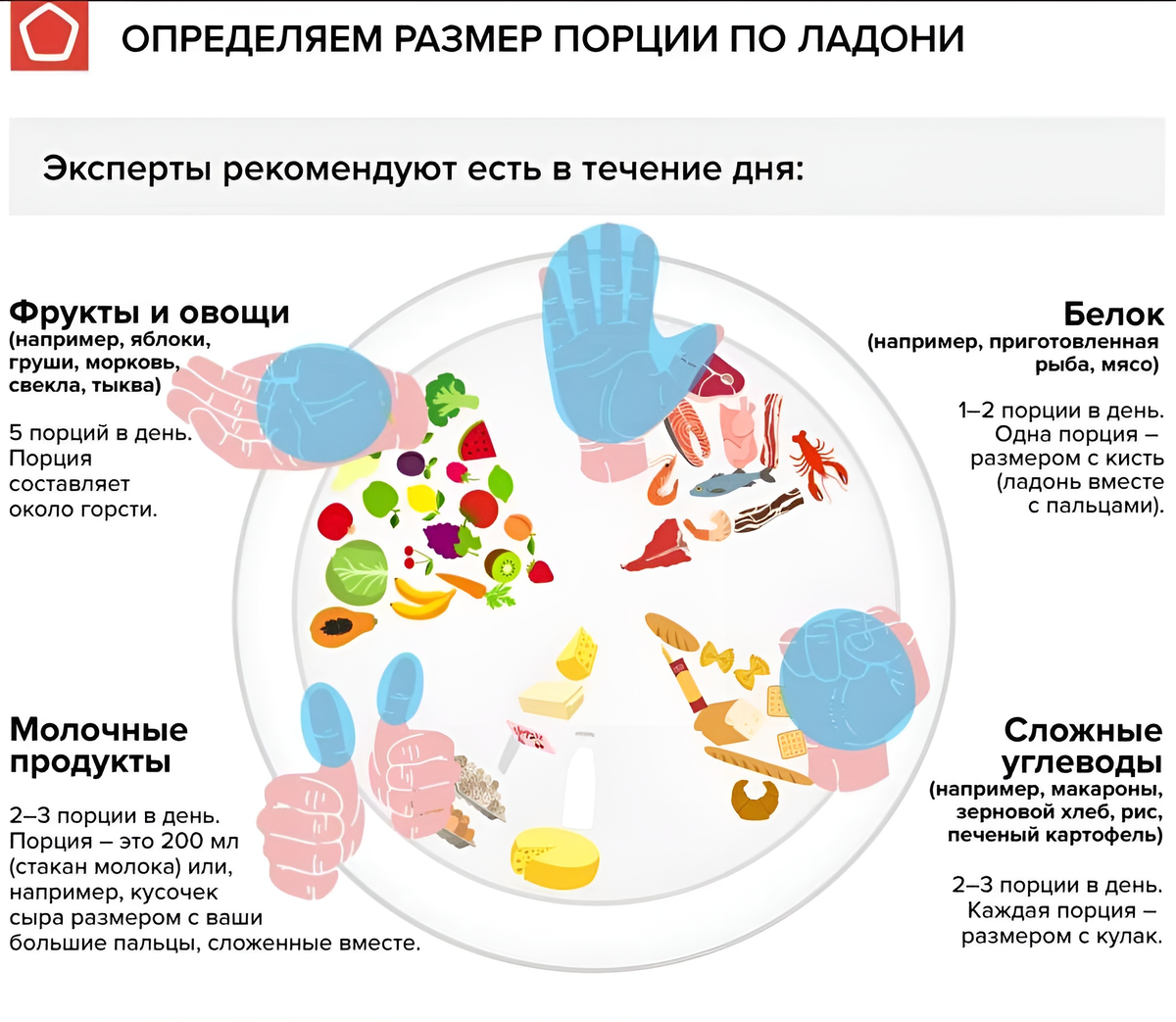 Сколько надо есть мясо. Размер порции при правильном. Размеры порций для правильного питания. Принцип ладони в питании. Какой размер порции должен быть.