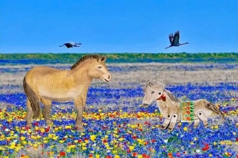    Оренбургская второклассница Эмма Чумакова создала мультфильм про лошадей Пржевальского Кристина Просвиркина