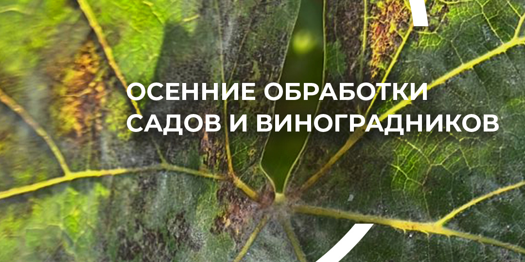 Осенние обработки садов и виноградников