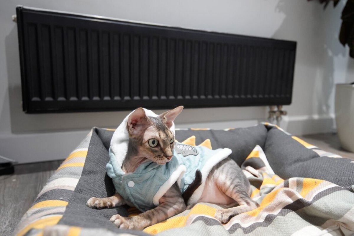    Одним жарко, другим холодно.