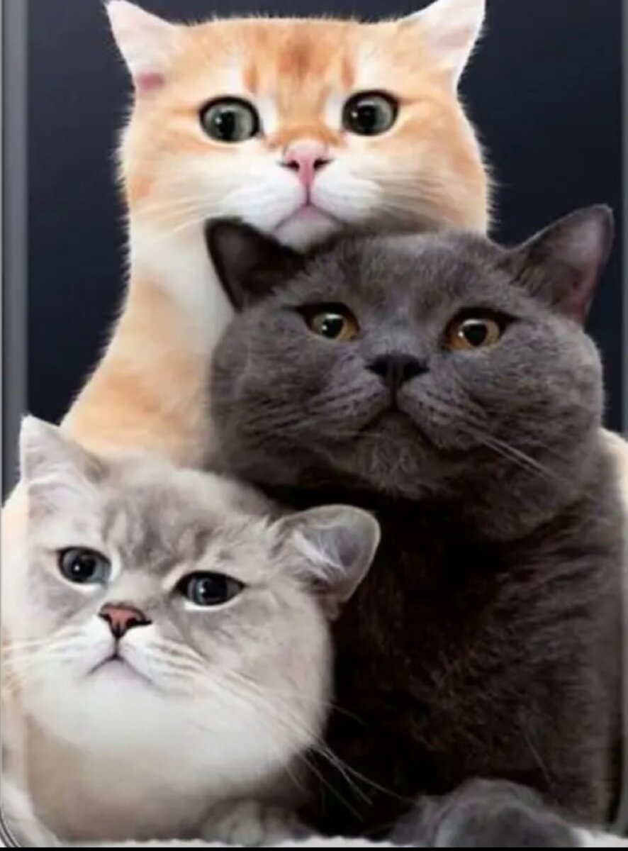 Из открытых источников