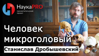 Человек микроголовый и Хомо Наледи – Станислав Дробышевский | Лекции по антропологии | Научпоп