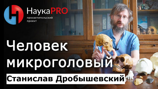 Человек микроголовый и Хомо Наледи – Станислав Дробышевский | Лекции по антропологии | Научпоп