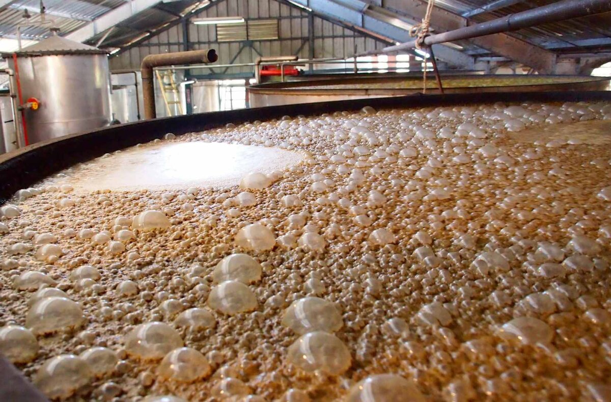 Не уследи и через край попрёт