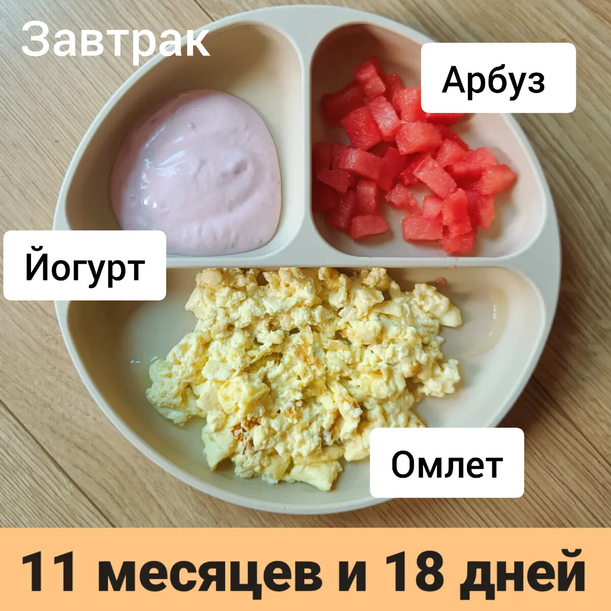 Пример тарелки в 11 месяцев 