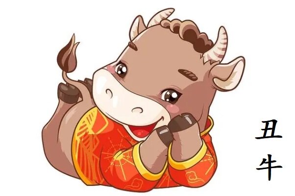 Важность фэн-шуй в повседневной жизни