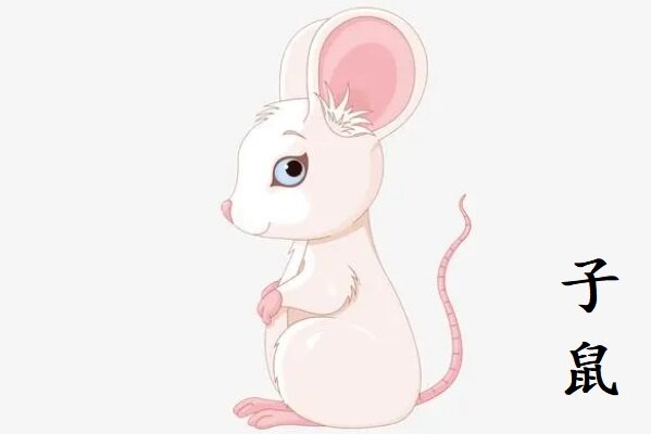 КРЫСА 1948, 1960, 1972, 1984, 1996, 2008, 2020