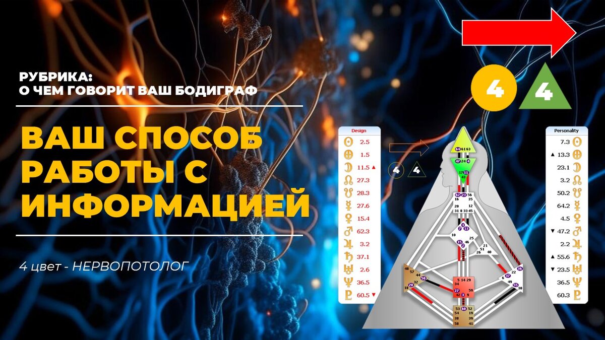 4 цвет – Невропатолог || КАКОВ ВАШ ПЕРСОНАЛЬНЫЙ СПОСОБ РАБОТЫ С  ИНФОРМАЦИЕЙ? | Лев Лившиц | Дзен