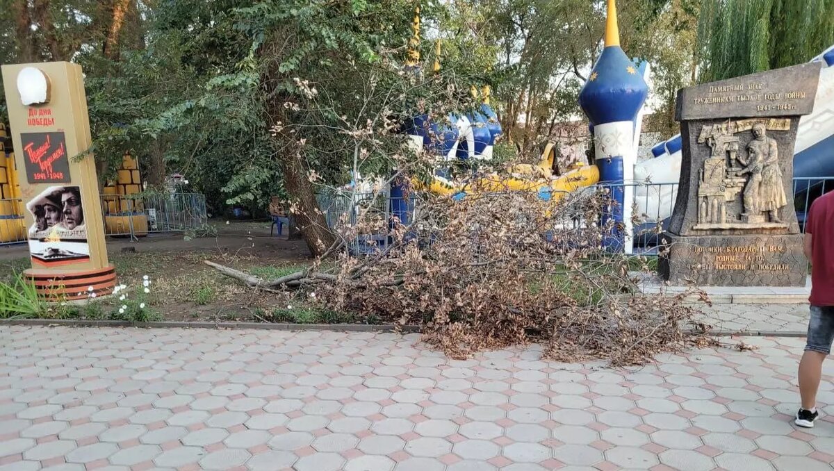     В Светлограде в местном парке опасно отдыхать из-за падающих веток, сообщил в соцсетях активист Алексей Курочкин.