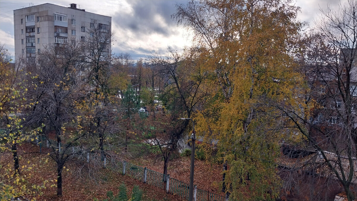 Фото автора ,вид из окна.