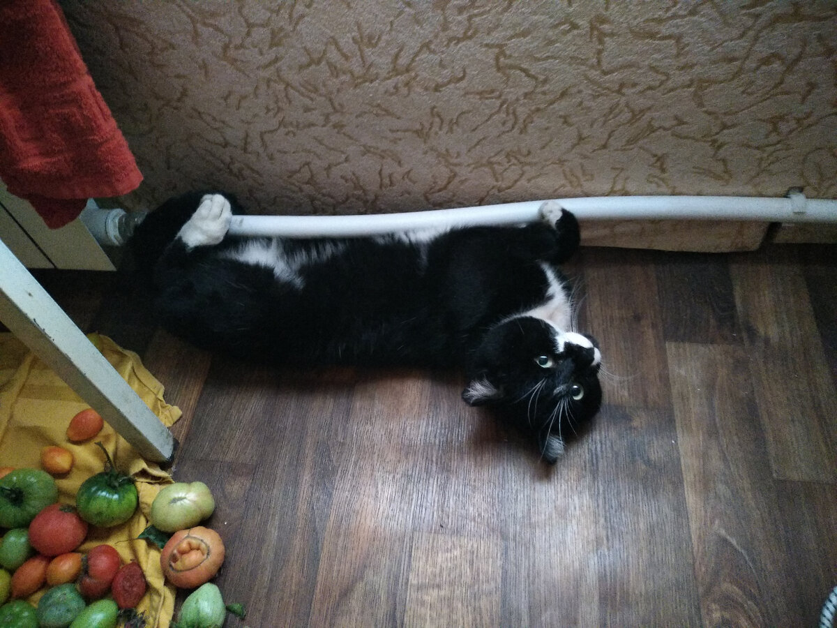 Здесь и далее фотографии автора