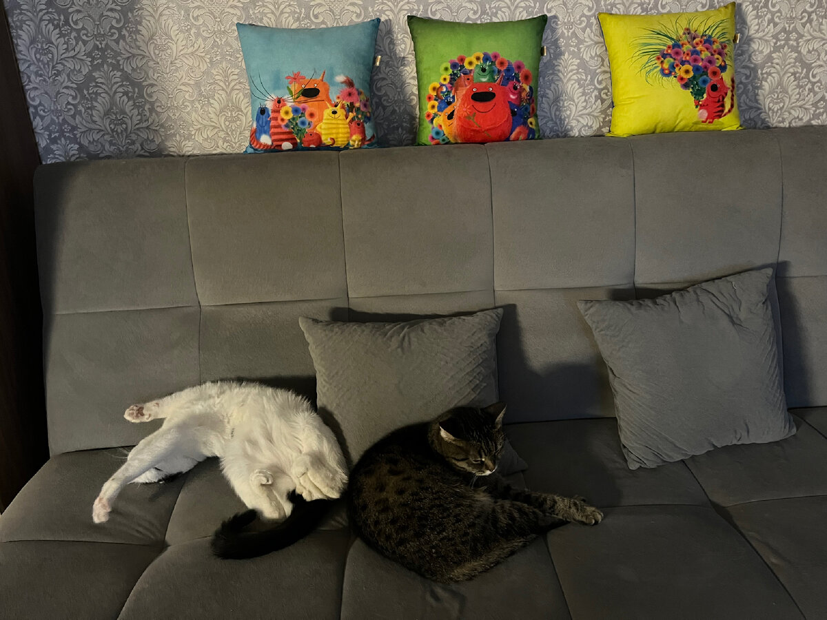 Варя и Кузя