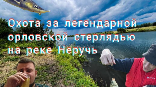 В поисках легендарной орловской стерляди на Неруче и получение лещом в грудак)