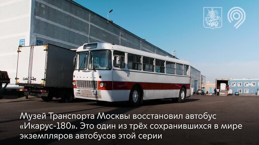 Автобусы 