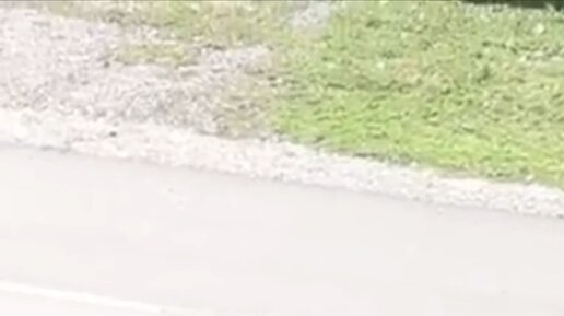 Будни Фёдора в деревне | ШИКАРНЫЙ ЗАБОР СВОИМИ РУКАМИ ,ПРОЩЕ НЕ ...