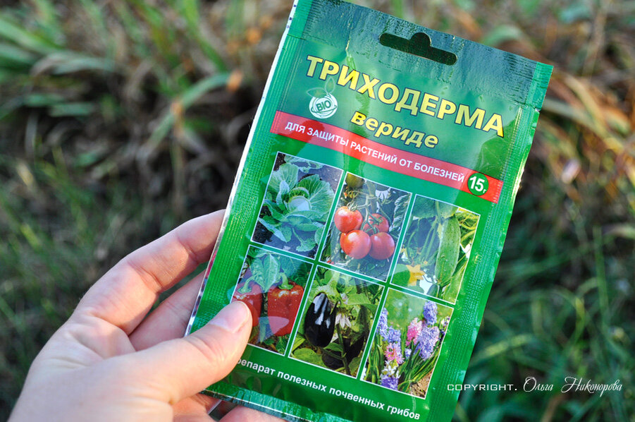 Продается повсеместно и стоит не дорого