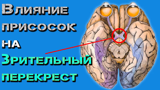 Колонка про отношения и секс: как культура порно влияет на наше либидо