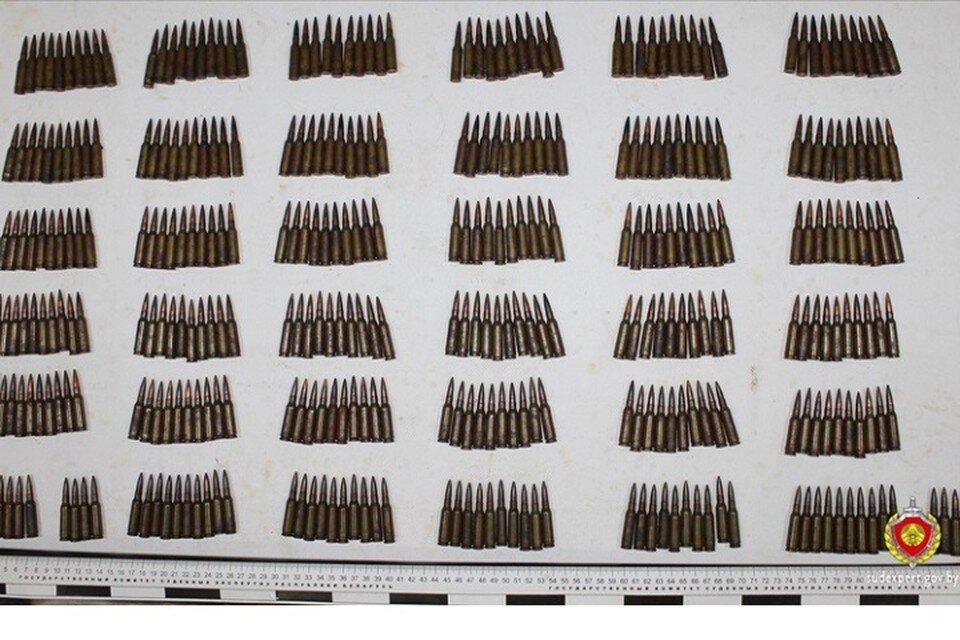    В Щучинском районе дети на рыбалке нашли около 500 патронов. Фото: ГКСЭ