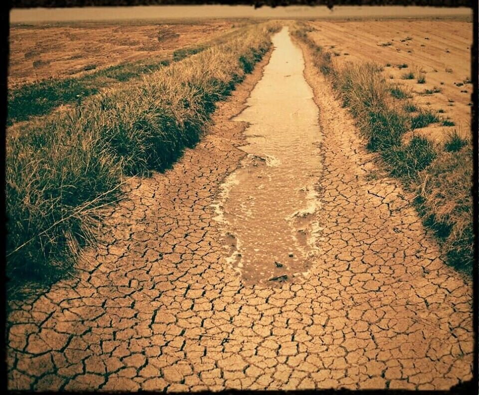 ... А он поил не ради славы, Не ради трогательных слов...