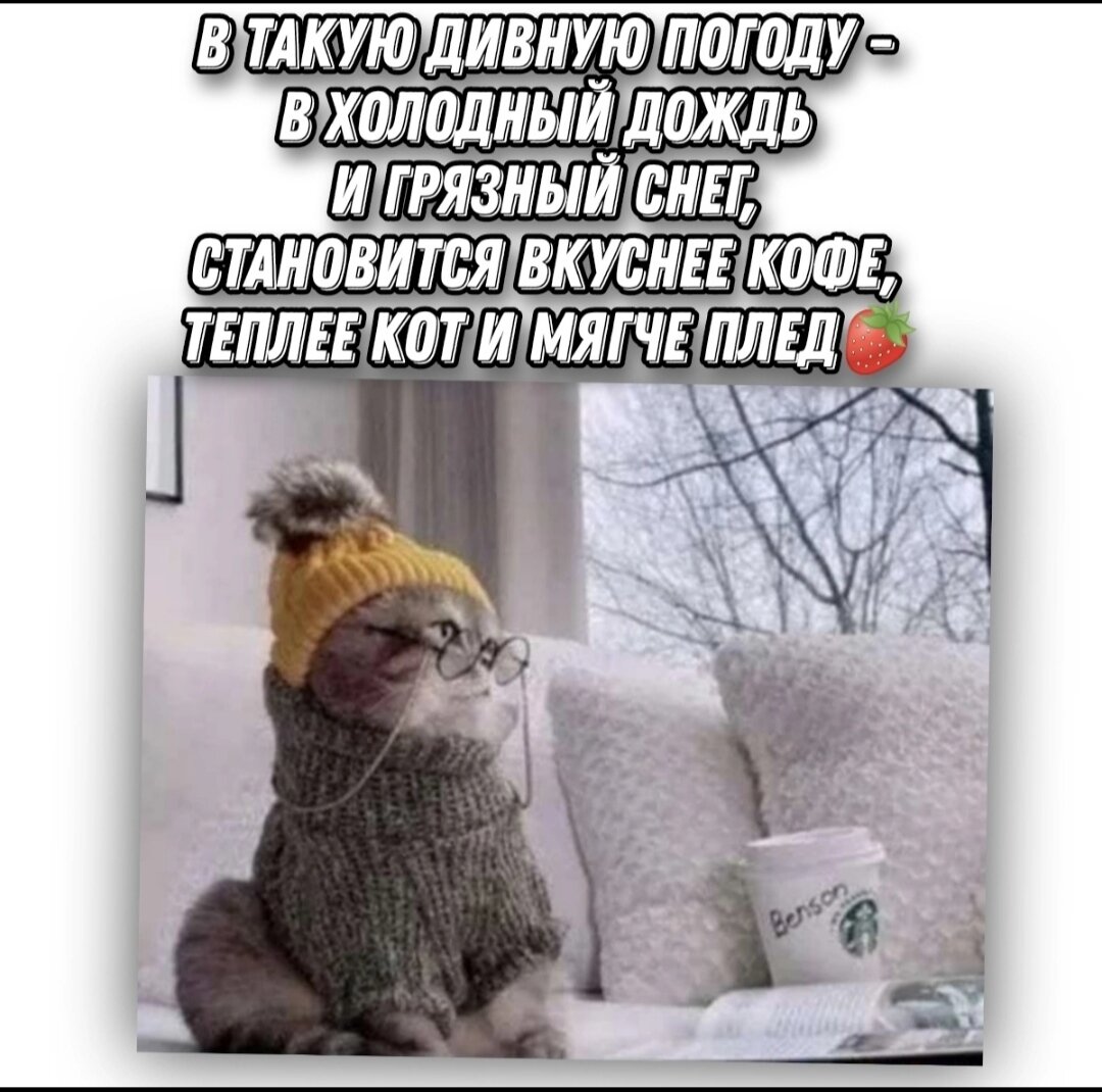 Погода шепчет картинки