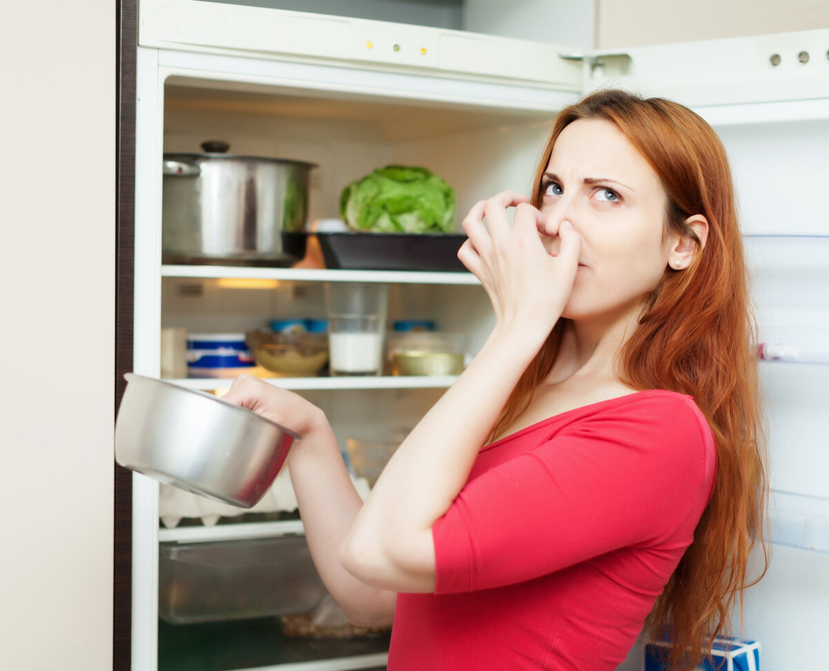 Как долго можно хранить суп в холодильнике