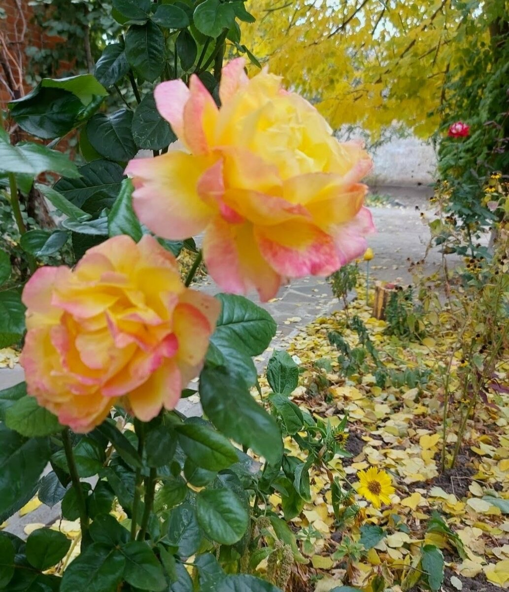 Фото автора.