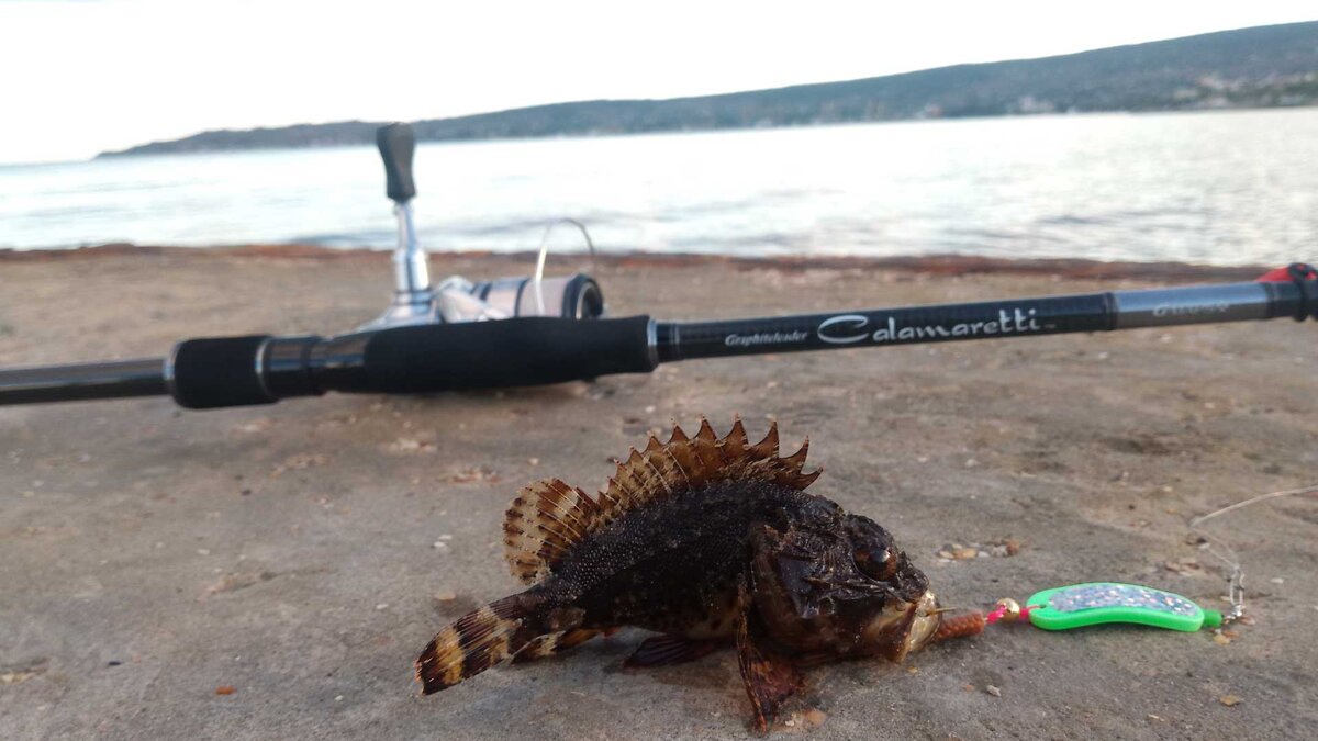 Как выглядит рыба скорпена Как ловить на булер в море? FishingJournal - всё о рыбалке Дзен