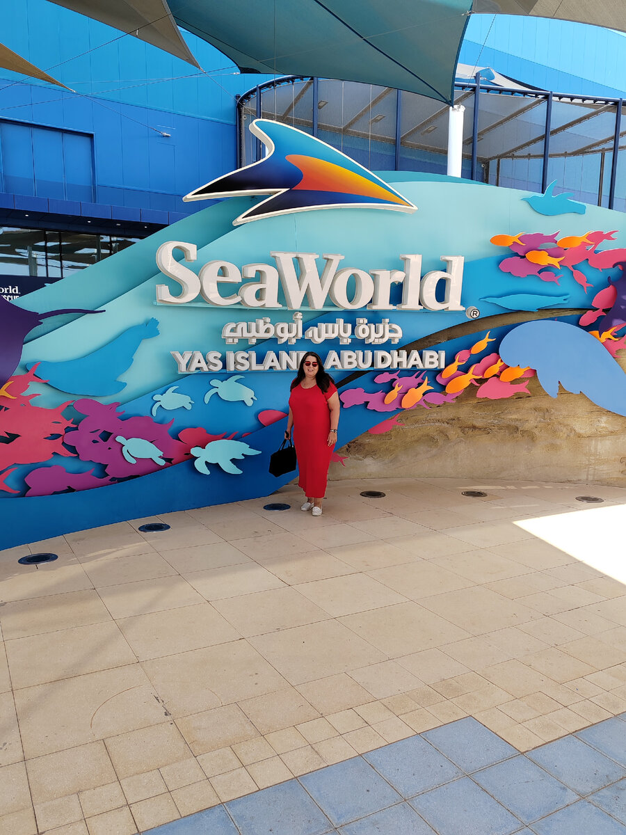 Провели целый день в новом океанариуме SeaWorld Yas Island в Абу - Даби и  даже не успели все посмотреть | PRO туризм | Дзен