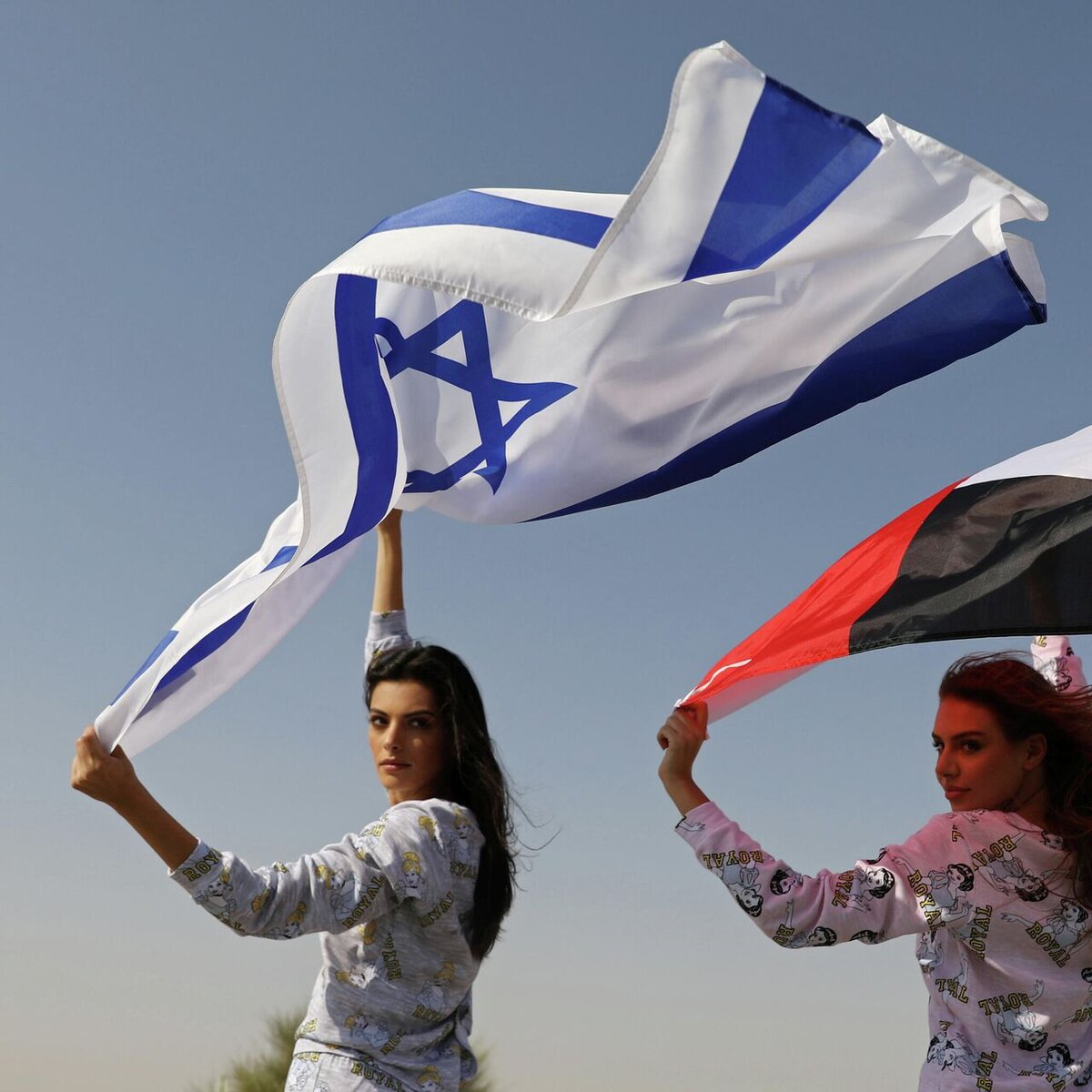 Фото Яндекс Картинки