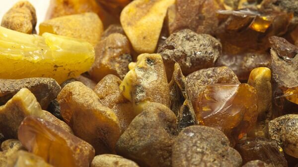    © Depositphotos.com / Tadoma1