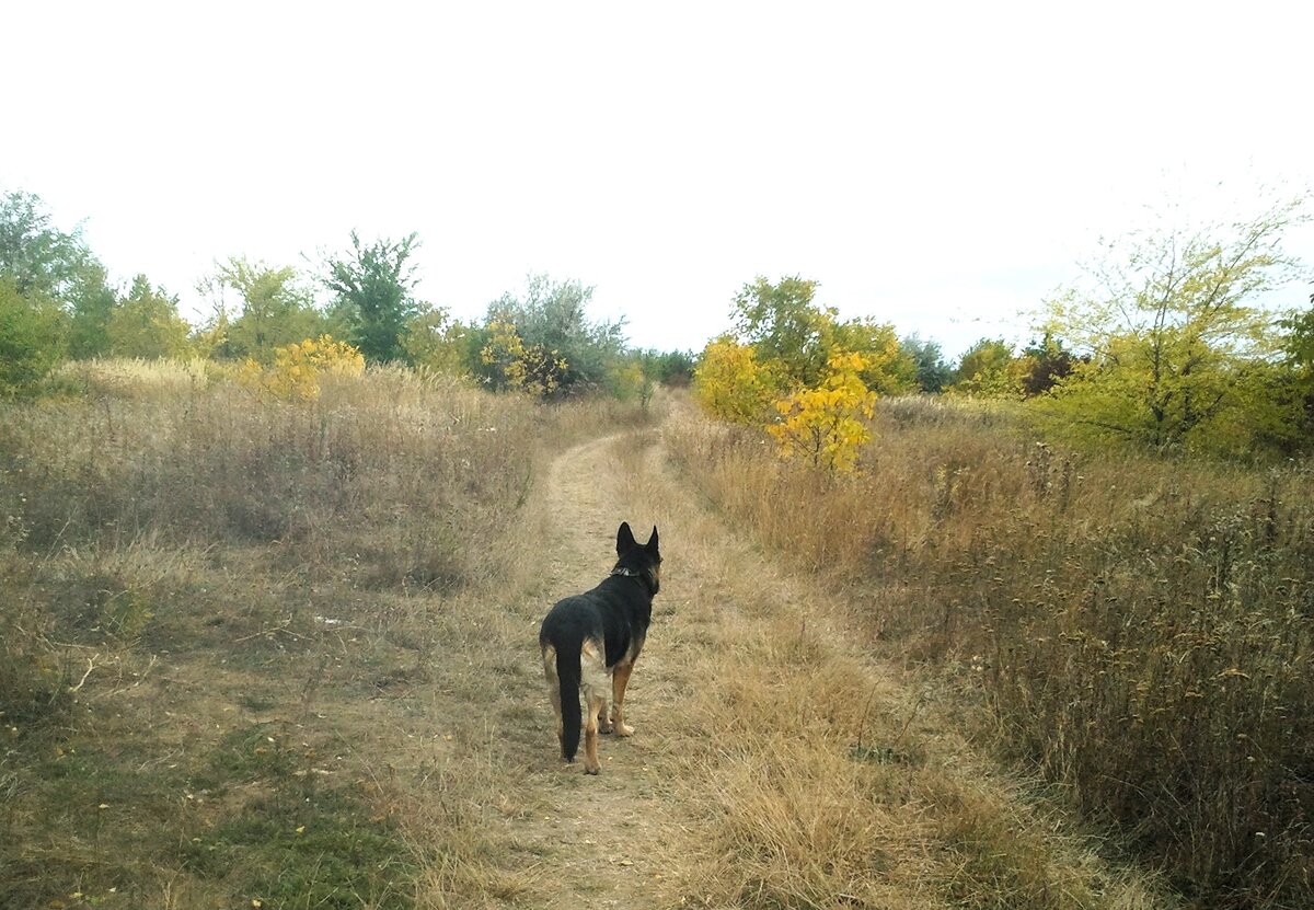 Фото автора