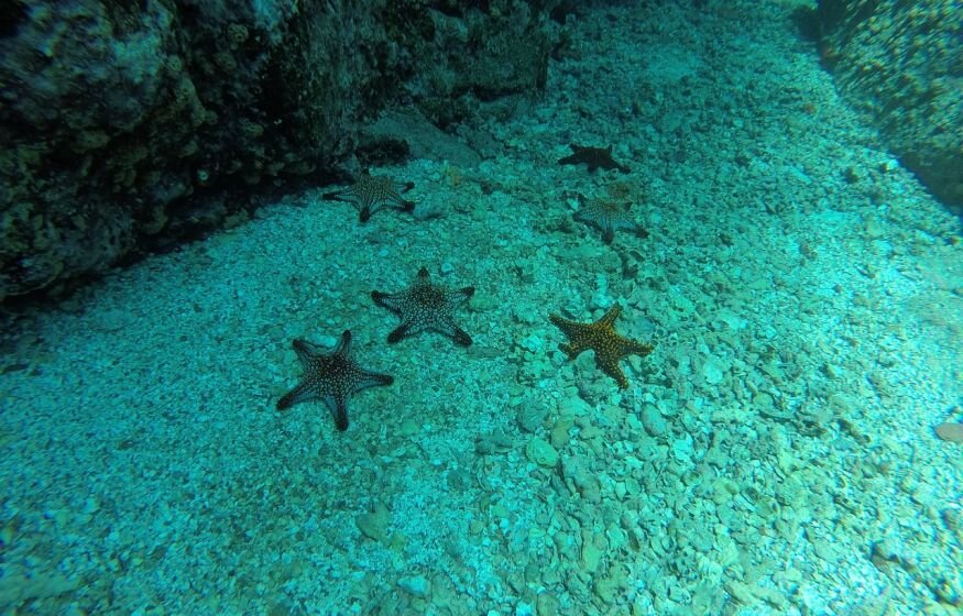    Гигантское древнее водохранилище обнаружено под Тихим океаном