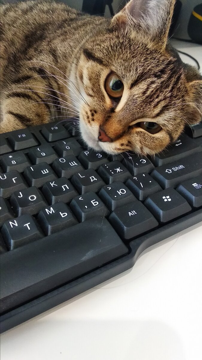 Всем нужна мама, как только она садится за компьютер. Ребенка снять не смогла, он в этот момент вырывает клавиатуру из блока. 